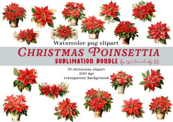 Watercolor Christmas Poinsettia Bundle: A Designer's Review of Illustrations